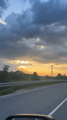 Traveler documents roadside scenery near Раздолье, Russia