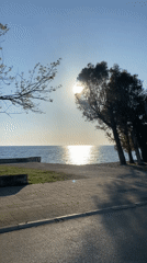 Everyday moments captured in Bar, Montenegro afternoon scenes