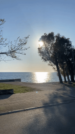 Everyday moments captured in Bar, Montenegro afternoon scenes