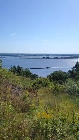 The video shows a scenic view of a body of water with a barge on it. The foreground is filled with lush green vegetation, including tall grasses and bushes. In the background, the water stretches out to the horizon, with islands dotting the landscape. The sky is a clear blue, indicating a sunny day. The barge appears to be moving across the water, leaving a faint wake behind it. The overall impression is one of peace and tranquility in a natural setting.