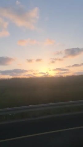The video captures a slow pan across a sunrise scene. The sky is a gradient of pale blue to soft yellow and pink hues, with scattered clouds tinged with orange. The sun is a bright, diffused orb just above the horizon, partially obscured by clouds. Below the sky, a hazy expanse of green vegetation stretches across the landscape. In the foreground, a dark road with a yellow dividing line is visible, separated from the vegetation by a grey metal guardrail. The overall impression is peaceful and serene, with the muted colors and soft lighting indicating either dawn or dusk.