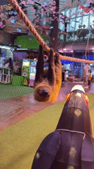 Visitors observe various animals at indoor attraction in Tianhe