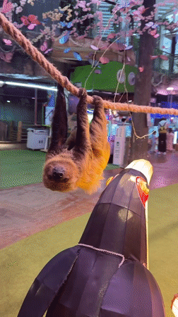 Visitors observe various animals at indoor attraction in Tianhe
