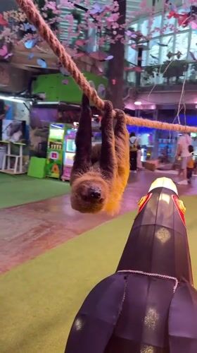Visitors observe various animals at indoor attraction in Tianhe