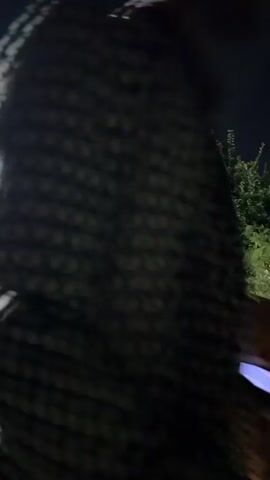 A man in a light brown shirt and dark pants rides a mechanical bull set on an inflatable platform at night. The bull bucks and spins, and the man struggles to hold on. The platform is yellow with a brown tiger-stripe pattern. There are trees in the background and people watching.