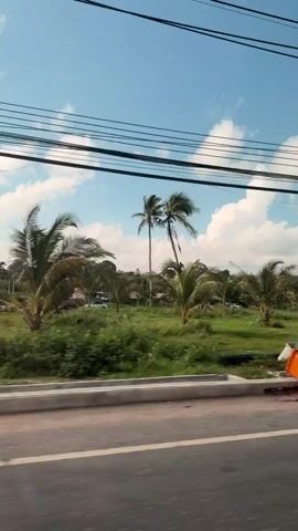 The video shows a view from a vehicle driving along a road. Overhead power lines crisscross the frame. In the background, there is a landscape with numerous palm trees and lush green vegetation. A power pole with some vines growing on it is visible on the right side of the frame. The sky is blue with scattered white clouds. The road in the foreground appears to be under construction or recently completed, with a curb and some gravelly areas visible. There are no people visible in the video.