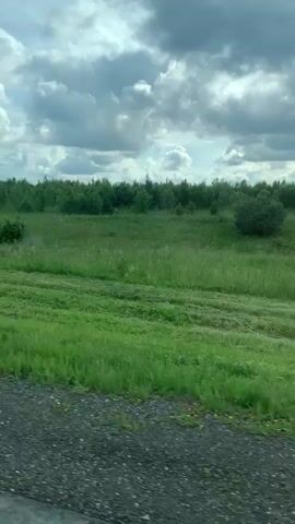 The video shows a view from a vehicle moving along a road. The scene is dominated by a green grassy field dotted with various trees and bushes. In the foreground, there is a gray metal guardrail with a red reflector visible. The sky above is partly cloudy with a mix of white and gray clouds. The overall impression is a rural or natural landscape.
