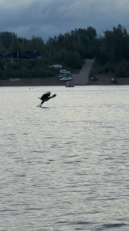 Chaikovsky, Russia