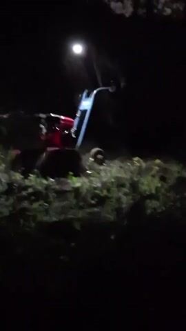 This media file depicts a scene at night in Сосновка, Russia. The primary subject is a red and blue rototiller being operated in an overgrown area. The setting appears to be a garden or yard, with dense vegetation and some dead branches visible. A single light source, possibly a headlamp or a portable work light attached to the rototiller or a person operating it, illuminates the immediate work area. The background is dark, suggesting it is nighttime. The weather is not discernible from the visual information. The mood is functional, focused on the task of tilling. No people are clearly visible, but the operation of the rototiller implies a person is present. There is no visible text in the media file.