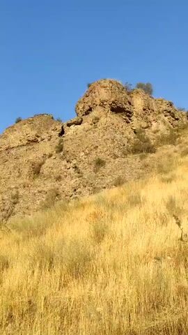 The video shows a landscape view, starting with a close-up of a rocky hillside covered in dry, golden grass. The camera pans to the right, revealing more of the rugged terrain and a clear blue sky. Further into the pan, the view opens up to show a valley with lush green trees and more distant, rolling mountains. The sunlight suggests it is daytime, likely morning or afternoon, casting shadows on the landscape. There are no people or specific objects identifiable as man-made in the immediate foreground, but a hint of structures might be present in the distance, obscured by vegetation. The overall impression is of a natural, somewhat arid environment.