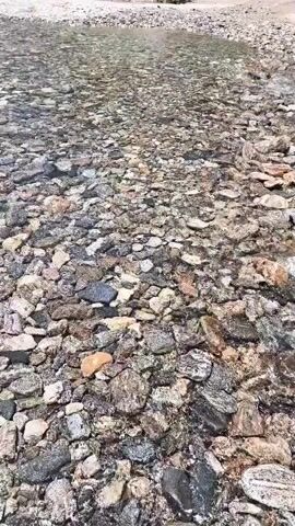 The video shows a clear stream flowing over a rocky bed. The water is shallow, allowing the colorful rocks beneath to be clearly visible. In the background, there is a sandy bank with some greenery and trees. The overall scene is one of natural beauty and tranquility.