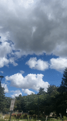 Markham afternoon: skies, parks, and a blooming shrub