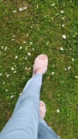 This is a short, top-down video clip showing a person walking across a green lawn. The person is wearing light blue striped pajama pants and pink fluffy slippers. White flower petals are scattered across the grass. The footage appears to have been captured during the daytime, with natural lighting. The overall mood is casual and relaxed, suggesting a domestic setting. There is no visible text in the video. The scene implies a peaceful outdoor environment, possibly a garden or backyard.