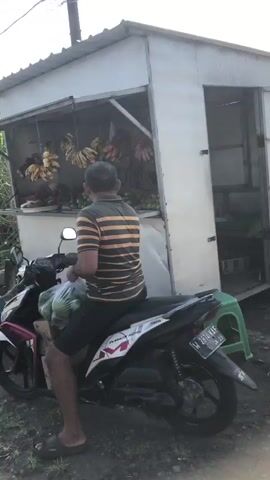 The video shows a man on a scooter in front of a small roadside stand selling fruit. The man is wearing a striped shirt and shorts and appears to be looking at the fruit. He has a bag on the scooter. The fruit stand has bananas and limes on display. There is a green plastic stool next to the stand. The background shows some greenery and a white structure that appears to be part of a building. The ground is dirt and gravel. The scooter has a license plate.