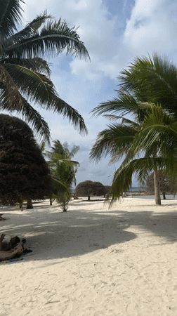 Morning Beach Activities Recorded at Baan Chaloklum, Thailand