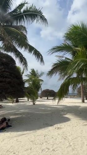 Morning Beach Activities Recorded at Baan Chaloklum, Thailand