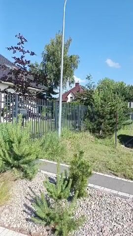 The video shows a sunny day with blue skies and scattered clouds, suggesting pleasant weather. The scene is set outdoors in what appears to be a residential area in Kamionka, Poland. In the foreground, there are several small evergreen trees and a path made of grey pavers with white lines, bordered by gravel.

Behind the path and trees, a grey metal fence runs horizontally across the frame, separating the foreground from the background. Beyond the fence, lush green grass and various trees are visible. A tall, slender metal pole, possibly a lamppost, stands in the middle ground.

Further in the background, a house with a distinctive red-tiled roof is partially visible, peeking out from behind the trees. The house has white walls and some windows. The presence of a residential building and a fence indicates a domestic setting. The time of day appears to be daytime, given the bright sunlight and clear blue sky. There are no people or animals visible in the frame, and the overall atmosphere is calm and serene. The video captures a typical suburban or semi-rural landscape on a clear day.