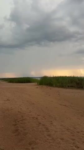 A sandy shore with footprints is in the foreground. A line of tall green reeds separates the sand from a body of water in the distance. The sky is filled with dark, heavy clouds, with shafts of sunlight breaking through in the distance, creating an atmospheric effect of rain or mist. The scene suggests an impending storm or the aftermath of one, with a dramatic contrast between the dark clouds and the illuminated horizon.