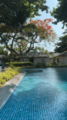 Tourist documents resort vacation moments in Baan Chaweng Thailand
