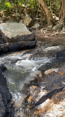 Morning stream creates natural waterfalls in Ban Tai forest