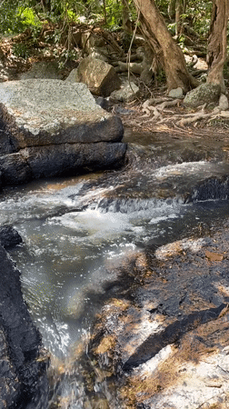 Morning stream creates natural waterfalls in Ban Tai forest