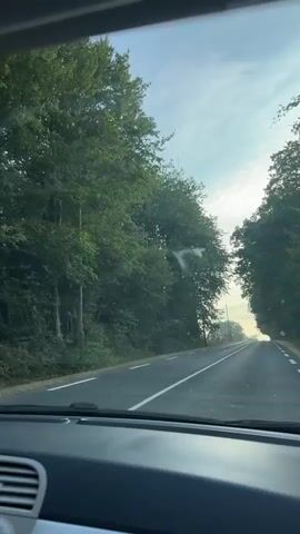 The video is filmed from the perspective of someone inside a vehicle, looking out through the windshield. The vehicle is moving along a paved road that is bordered by dense trees on both sides. The road appears to be in a rural setting. The sky is visible above the trees, with a clear or partly cloudy sky suggesting daytime. In the middle portion of the video, a tall, old-fashioned water tower comes into view, standing next to the road. The water tower is made of concrete or stone and has some discoloration and possibly graffiti on its surface. Antennas and other equipment are visible at the top of the tower. A utility pole with wires is also present near the tower. The vehicle continues to drive past the water tower.