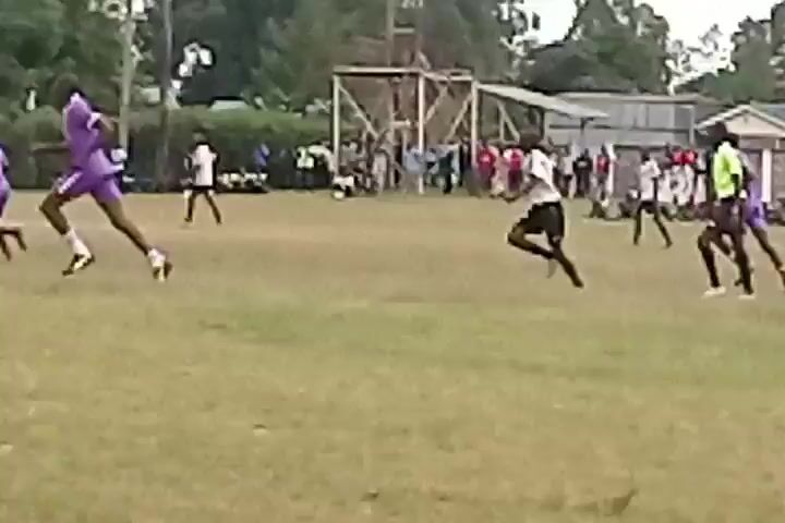 The video shows a grassy field with people playing a game. The majority of people appear to be onlookers standing or sitting along the sides of the field. Two players are actively running. One player wears a purple jersey and the other wears a white jersey. The player in the white jersey appears to fall to the ground. The video appears to be filmed from a distance. The background includes trees and what appears to be a hedge.