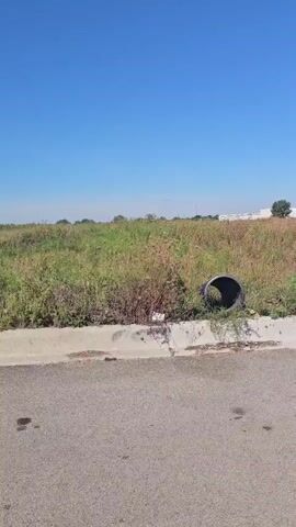 The video shows an outdoor scene with a clear blue sky. In the foreground, there is a paved road with a concrete curb. Beyond the curb is an area of overgrown vegetation, with tall grasses and some scattered debris. To the right, a large black culvert pipe is visible, partially obscured by the plants. Further in the distance, beyond the vegetation, there are several white construction vehicles or machinery, and some buildings can be seen on the horizon. The scene appears to be an undeveloped or recently cleared area.