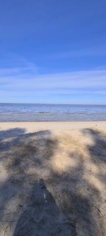 A video shows a sandy beach with water and a blue sky in the background. In the foreground, there's a grill with burning wood. The shadows of trees fall across the sand.
