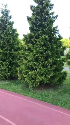 Early morning workout session recorded at Slantsy sports complex