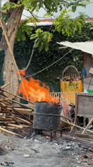 Cow, calf, and open fire in a Kuta backyard