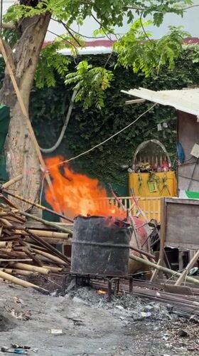 Cow, calf, and open fire in a Kuta backyard