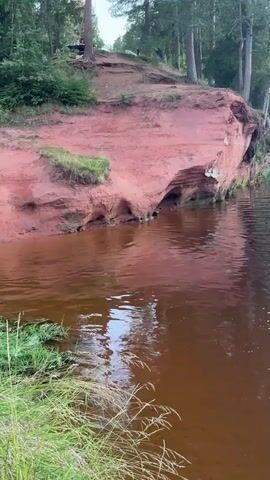 The video begins with a close-up of a red sandstone cliff face. The cliff is eroded with several small caves or overhangs. Green grass and reeds grow along the bank of a body of dark, reddish-brown water in the foreground. The camera then pans to the right, showing more of the cliff and the tree-lined bank of the water. The water is calm with gentle ripples. As the camera continues to pan, the scene opens up to a wider view of a river or lake surrounded by dense green forest. The sky is a clear pale blue, with a hint of a sunset glow on the horizon. A lone birch tree stands in a field of tall grass on the far bank. The video ends with a shot of the sky and the distant treeline reflected in the water. There are no people or animals visible in the video.