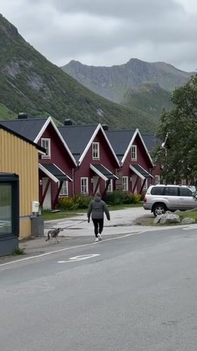 Wandering Gryllefjorden's painted streets, cafés, and art spots