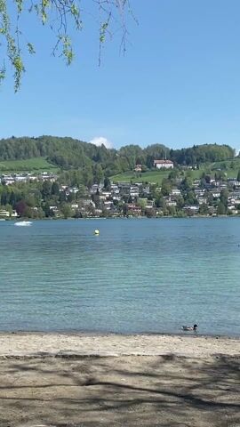 The video shows a scenic lakeside view on a sunny day. The foreground features a sandy beach with a tree branch with green leaves dangling from the top.  A duck is standing at the edge of the water. The water is clear and turquoise.  In the midground, a yellow buoy floats on the lake. A white speedboat is moving across the water.  In the background, a hillside is covered in houses and green trees. The sky is clear and blue with a few small clouds.