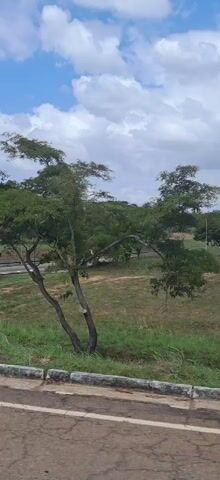 The video shows a view of a roadside with trees, grass, and streetlights, captured from a moving vehicle. The sky is blue with white clouds. A guardrail is visible along the side of the road. The video appears to be taken during daylight.