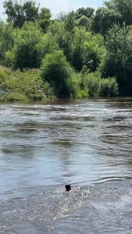 A person is swimming in a river. The river is flowing and has some ripples on the surface. There are trees and vegetation on the riverbank in the background. The sky is visible and appears to be clear. The person is partially submerged in the water and their head is visible. They appear to be swimming towards the right of the frame. The video is taken from a slightly elevated position, looking down at the river. The lighting suggests it is daytime, likely sunny.
