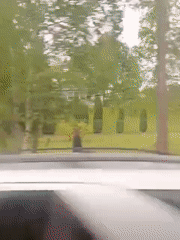 Vehicle journey documents Saint Petersburg streetscape over 17 minutes