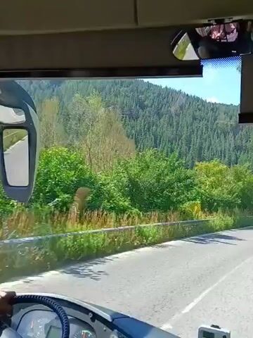 The video, timestamped from 00:00 to 00:05, captures a view from inside a vehicle, likely a bus. The perspective is from the front passenger area, looking out through the windshield. The scene depicts a winding road bordered by lush green trees and vegetation on both sides, with a dense forest covering a hillside in the background. The road appears to be asphalt and curves to the right. A guardrail runs along the edge of the road. In the rear-view mirror, reflections of passengers can be seen. At approximately 00:01, another bus is visible on the road ahead, also moving forward. The lighting suggests it is daytime with clear weather.