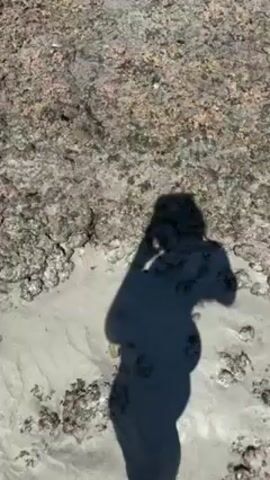 A shadow of a person holding a phone is cast on the sand beside a rocky shoreline. The rocks are partially covered in pink and grey hues. The sand is light in color. The scene is filmed from a high angle. The camera is static.