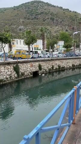 The video captures a serene daytime scene in Finike, Turkey, showcasing a canal alongside a road. Two white ducks are the primary subjects, gracefully swimming in the greenish water. One duck initially hides partially under a small stone archway built into the canal's stone-lined bank, then emerges to join the other.

Along the canal bank, a sturdy stone wall separates the waterway from a paved road where several vehicles are parked, including a white van and a yellow car. Beyond the road, white buildings with tiled roofs and green palm trees are visible, typical of a Mediterranean coastal town. In the far background, a large, tree-covered mountain rises, dominating the skyline. A blue railing, likely part of a bridge or promenade, is in the foreground, framing the shot. The weather appears overcast, casting a soft, diffused light over the entire scene, and there is no visible text.
