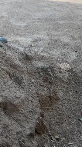 The media file shows a close-up, ground-level view of a dry, sandy or dirt surface. The terrain appears uneven, with some small rocks and dry leaves scattered about. There is a slight incline on the left side of the frame, where the soil is more clumpy and textured. The overall color palette is muted, dominated by shades of brown and gray. The lighting suggests it is daytime, possibly late afternoon given the shadows, but the weather appears dry and clear. There are no visible people or animals, and the focus is entirely on the natural, earthy textures of the ground. The setting is suggestive of an outdoor, arid environment. No text is visible in the media file.