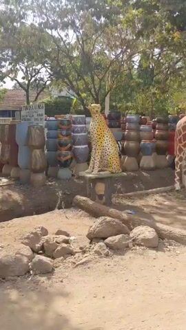 The video shows a collection of various outdoor decorations and pottery displayed along a street. There are numerous stacks of painted tires and an assortment of pots and planters in different colors, sizes, and designs, some arranged on metal shelves. Statues of animals, including a cheetah, giraffe, and zebras, are visible. A covered bench with a painting of a person on the back wall and a sign with lettering can be seen as well. The scene is outdoors, with trees and foliage providing a natural backdrop. Cars can be heard passing by on the street, indicating the location is likely alongside a road.