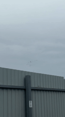 Birds fly in V formation over Dmitrov, Russia