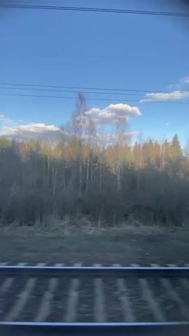 The video shows a view from a train window. The camera is stable, looking out at the passing landscape. The focus is on the scenery outside. We see train tracks in the bottom of the frame. Beyond the tracks, there is a field, patches of grass, some brush, and a dense forest. The trees vary in type, including evergreens and bare deciduous trees. As the train moves, power lines and large metal power pylons come into view. The sky is bright blue with scattered white clouds. The lighting indicates it is daytime with golden sunlight hitting the trees.