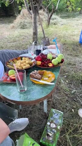The video shows a picnic scene outdoors. A table is laden with food and drinks, including bowls of snacks, plates of fruit, cake, and glasses. Two people are partially visible, one with their arm resting on the table, and another sitting near the table. A shovel leans against a tree in the background, and the surrounding area is grassy with trees. A blue container is visible in the distance. The overall atmosphere appears relaxed and informal.