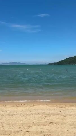 A vertical shot shows a sandy beach in the foreground. The ocean is in the middle ground with several orange buoys visible. In the background, a tree-covered hill meets the blue sky. A few people are swimming in the water.