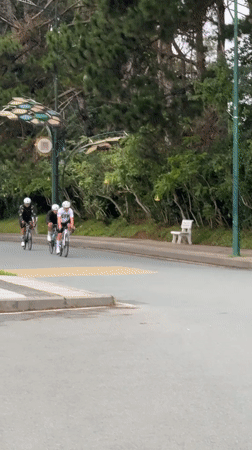 Cyclists and pedestrians out along Đà Lạt's lakeside paths
