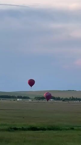 Two hot air balloons are pictured in a wide shot video. The balloons are red and pink with white patterns and are floating in a wide open green field under a pale blue sky. The sun is either rising or setting, as indicated by the soft lighting and the gradient of the sky from light blue to a dusky pink. The landscape appears to be rural, with rolling hills in the distance and scattered buildings. One balloon is to the left and higher than the other. The balloon on the right is slightly lower and closer to the viewer. The video is static with no camera movement.