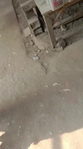 The video shows a person walking next to a motorcycle. In the background, there are shelves with various items, including food products and bottles of what appears to be cleaning supplies. The floor is dirt and concrete. The person is carrying a green woven mat. The timestamp indicates the video is very short.